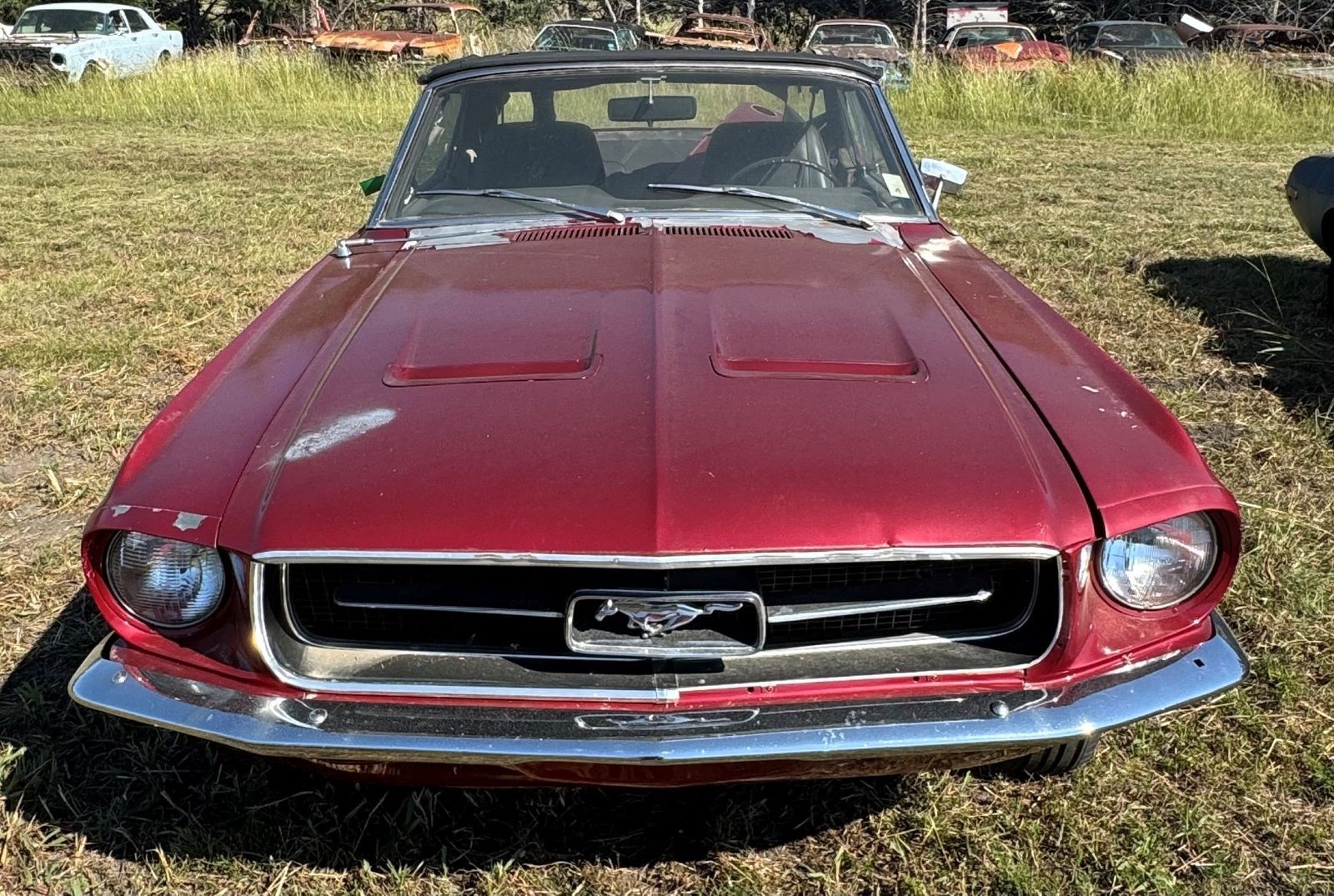 Ford-Mustang-1967-Convertible-2