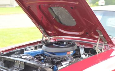 Ford-Mustang-1968-Royal-Maroon-Black-14