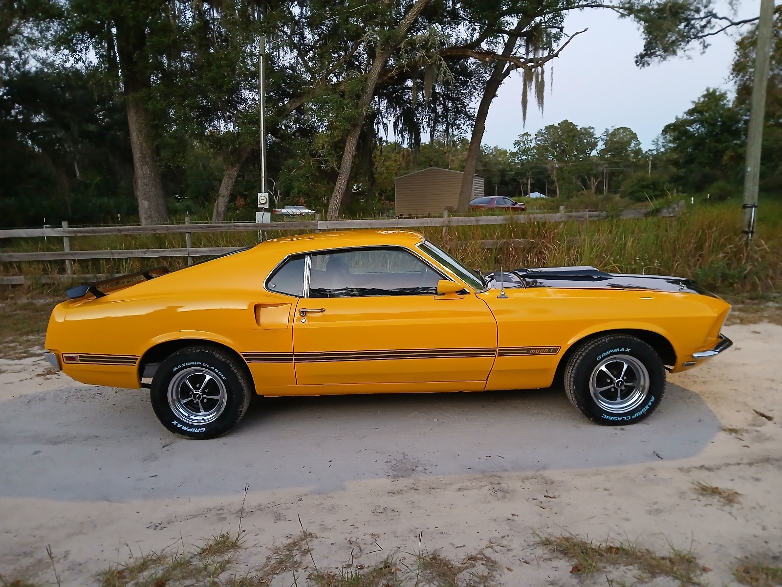 Ford-Mustang-1969-Fastback-1