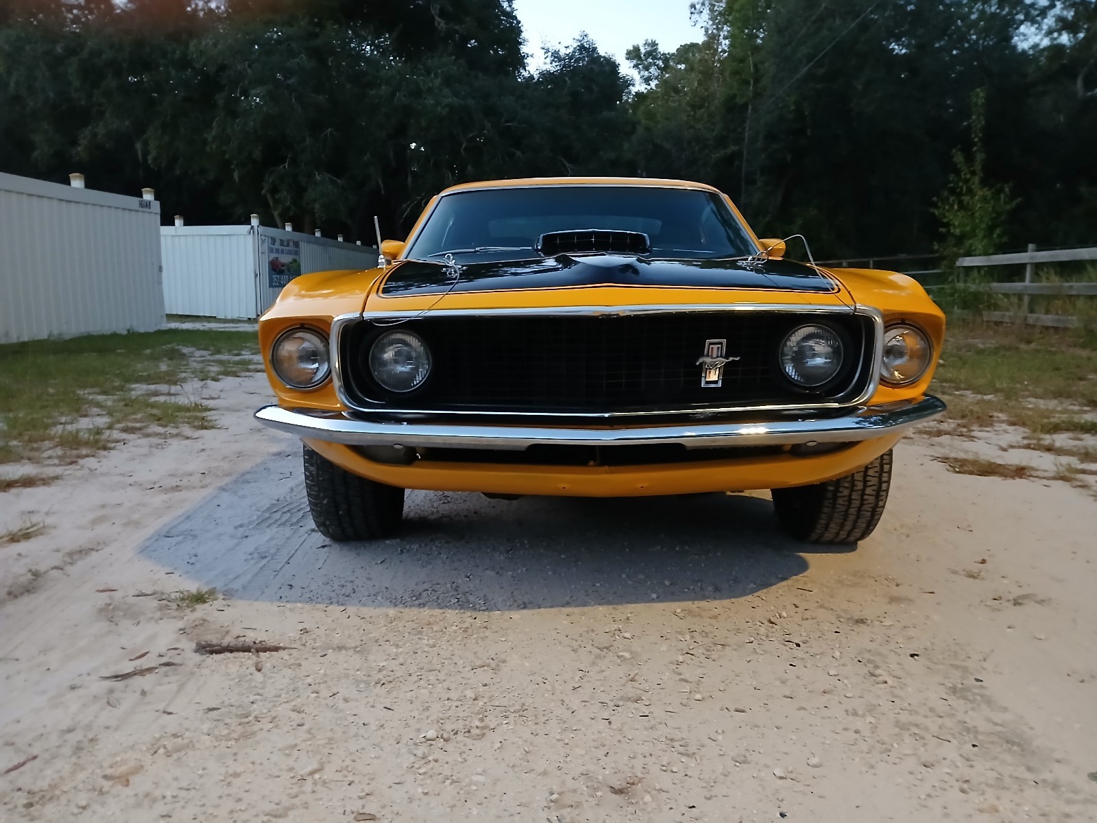 Ford-Mustang-1969-Fastback-2