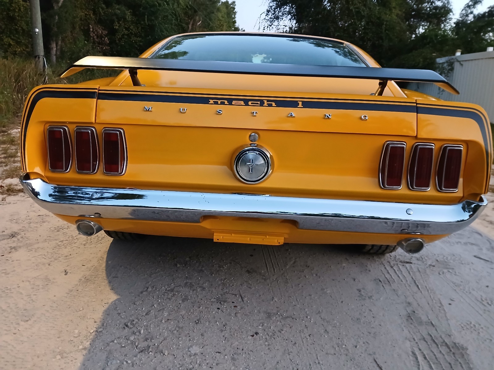 Ford-Mustang-1969-Fastback-3
