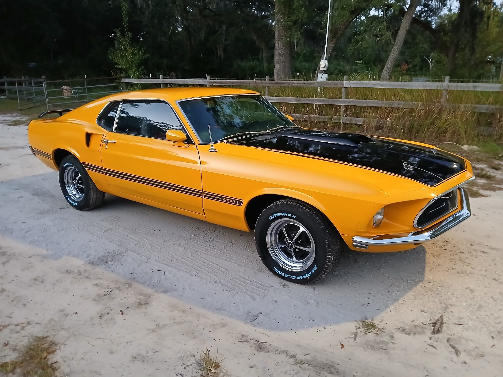 Ford-Mustang-1969-Fastback-8