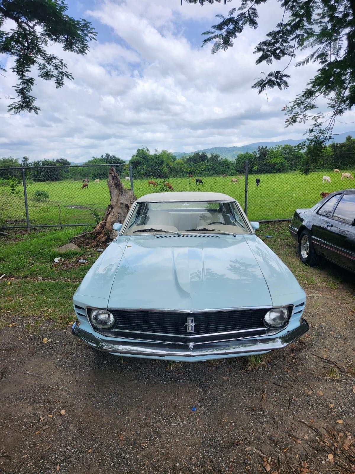 Ford-Mustang-1970-Coupe-19