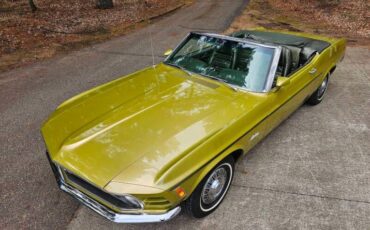 Ford-Mustang-1970-green-green-44