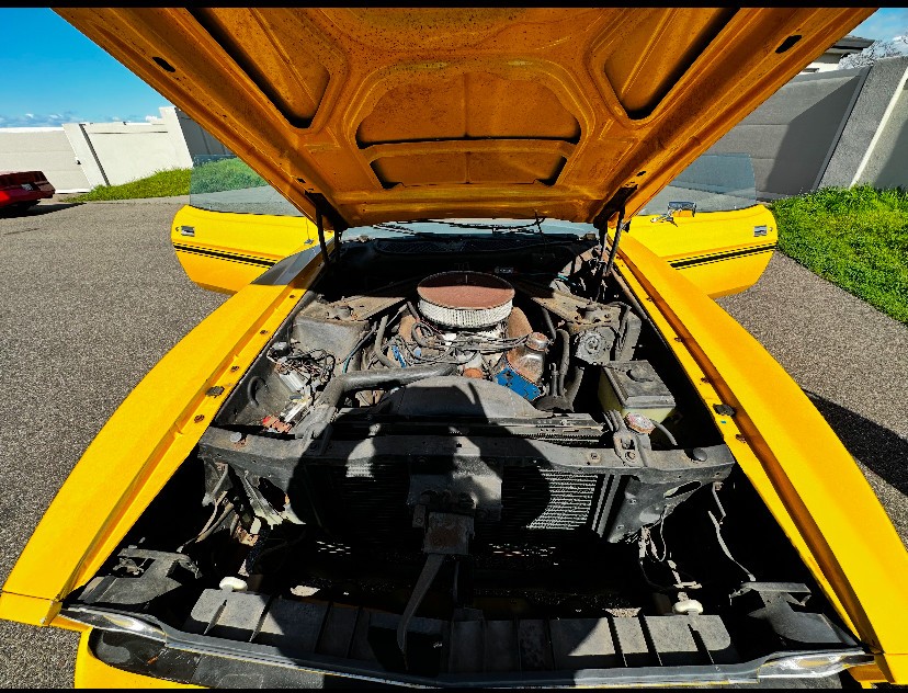 Ford-Mustang-1973-Convertible-18
