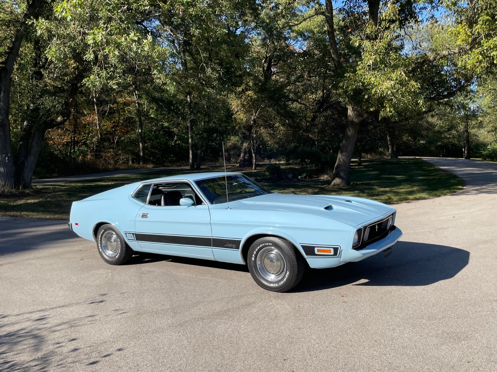 Ford Mustang 1973 Fastback