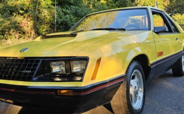 Ford-Mustang-1979-1