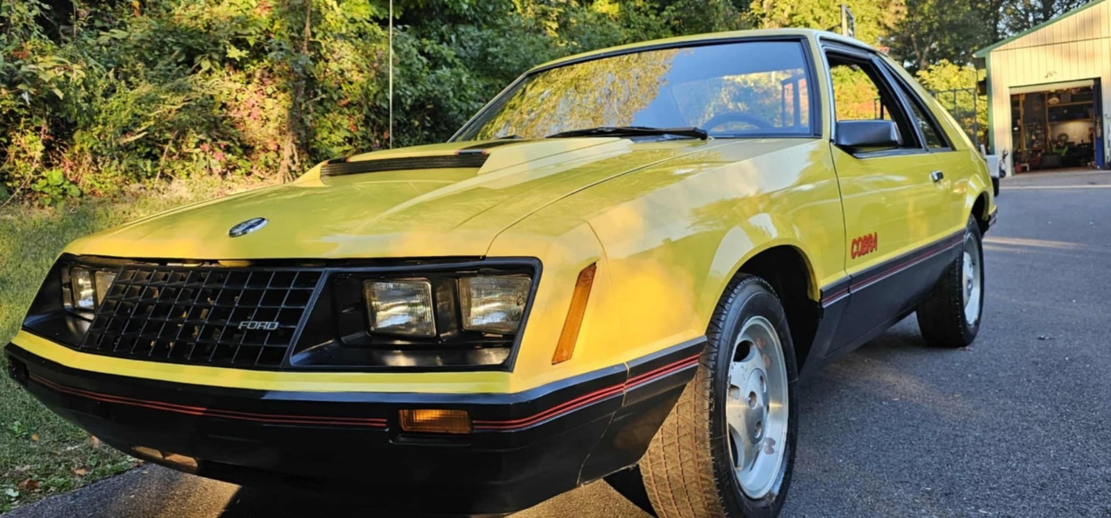 Ford-Mustang-1979-1