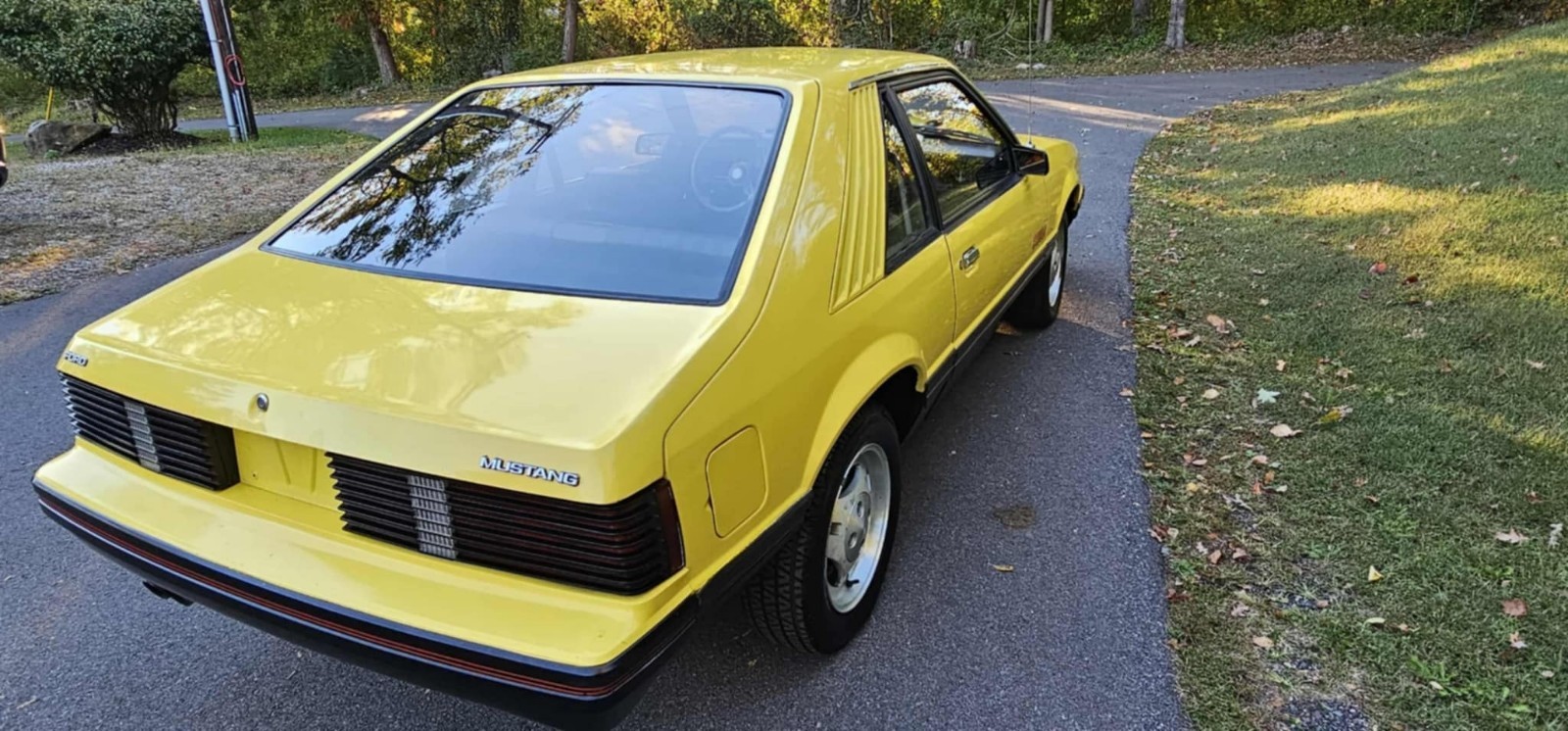 Ford-Mustang-1979-10