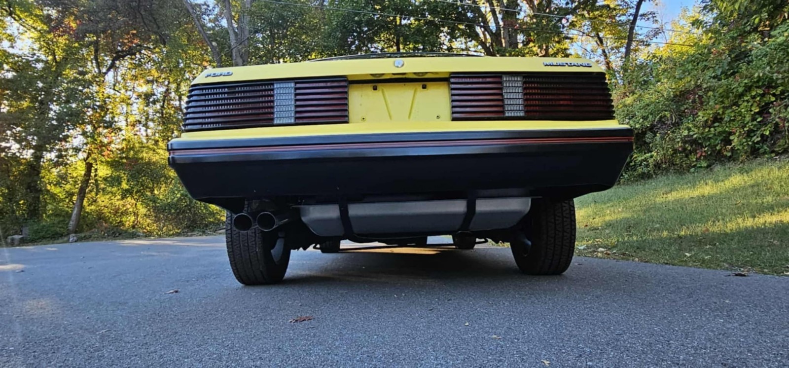 Ford-Mustang-1979-11