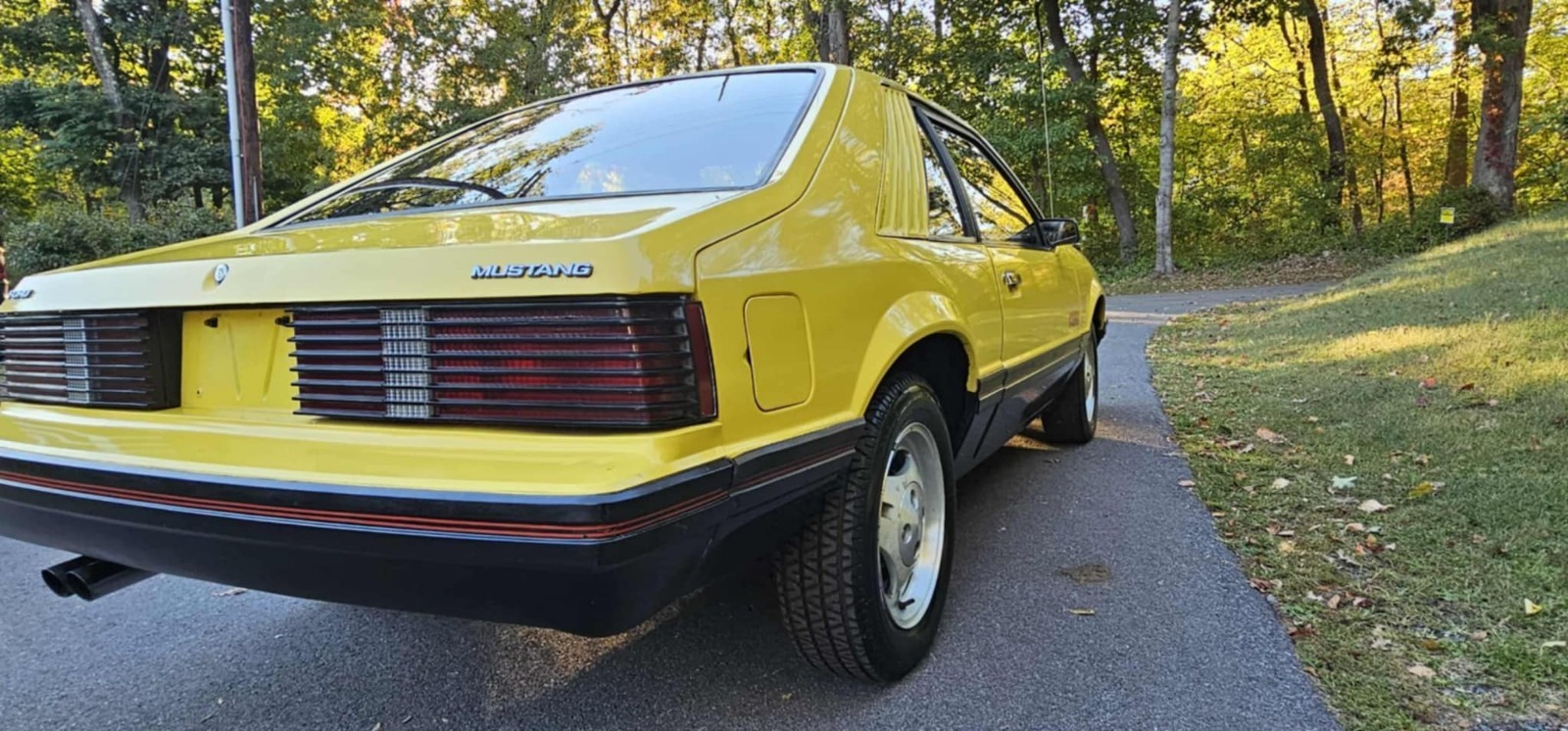 Ford-Mustang-1979-12