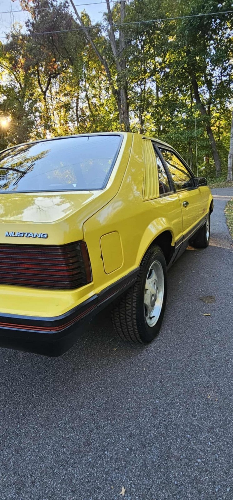 Ford-Mustang-1979-13