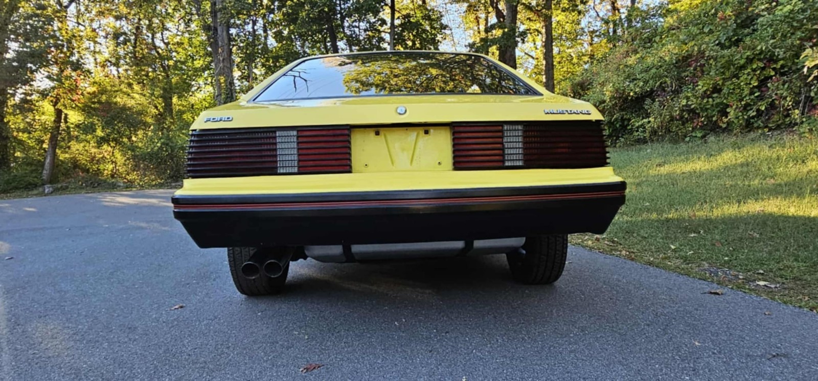 Ford-Mustang-1979-14
