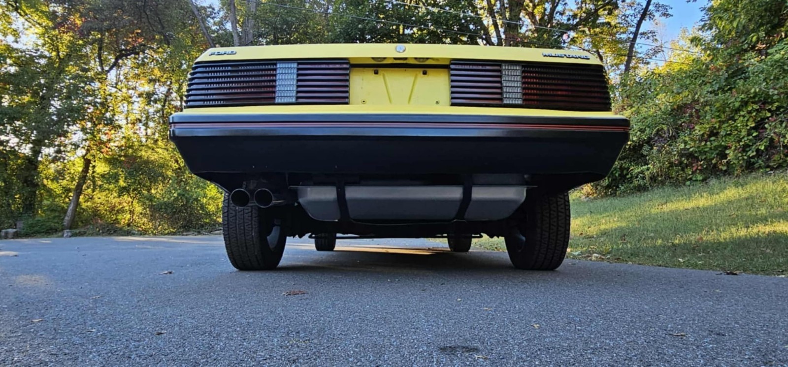 Ford-Mustang-1979-16