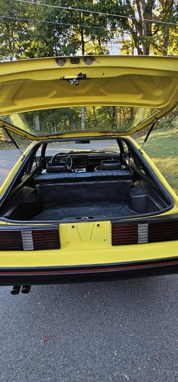 Ford-Mustang-1979-19