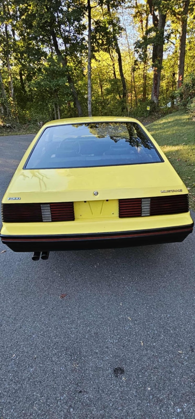 Ford-Mustang-1979-2