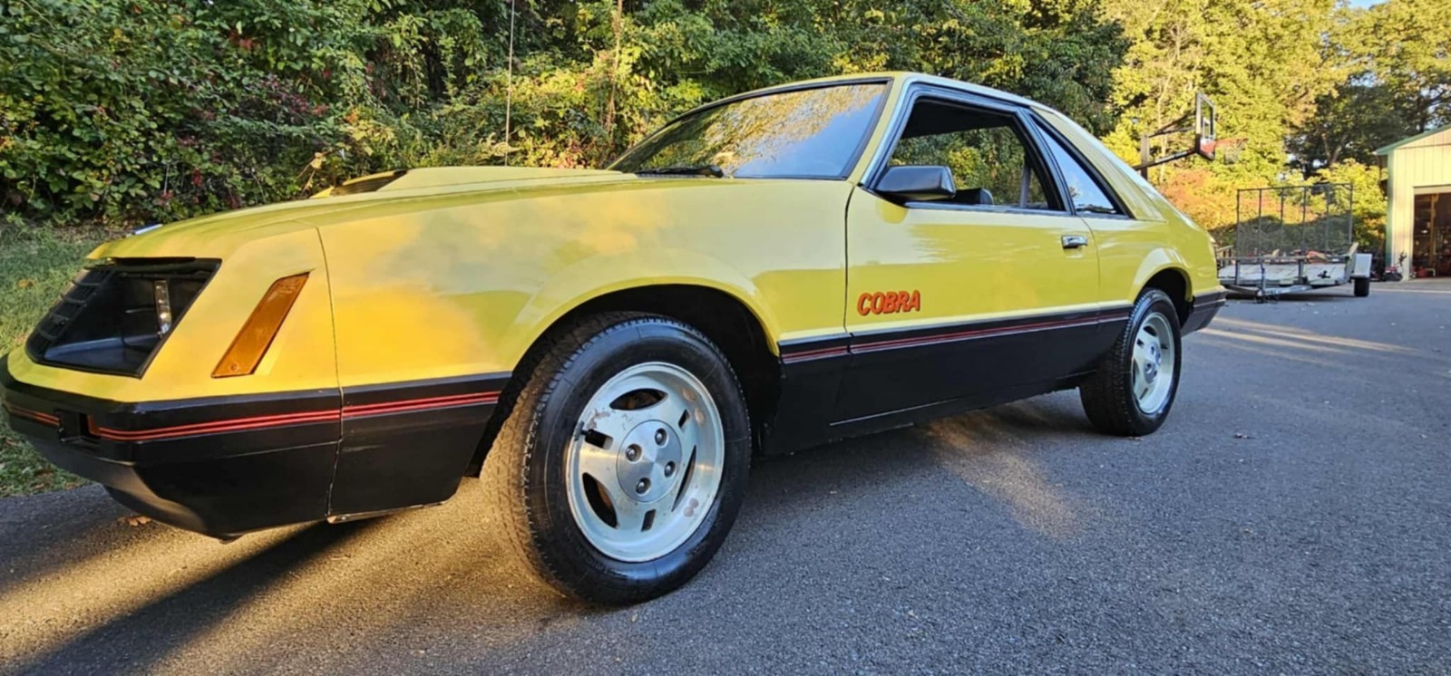 Ford-Mustang-1979-3