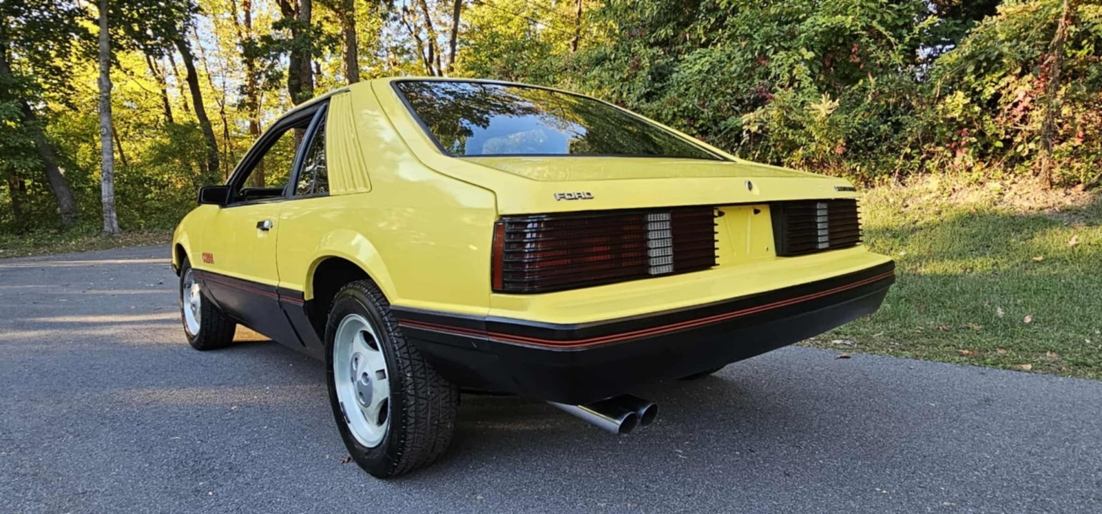 Ford-Mustang-1979-5