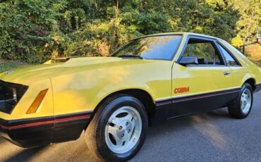 Ford-Mustang-1979