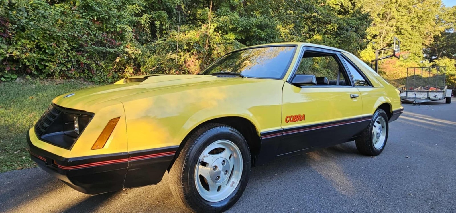 Ford Mustang 1979
