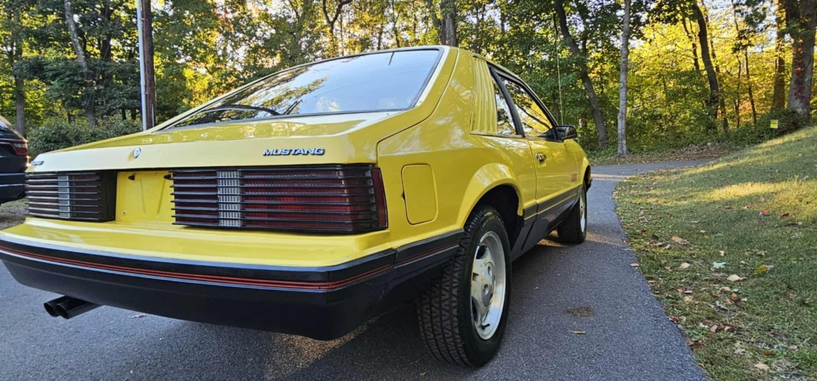 Ford-Mustang-1979-7