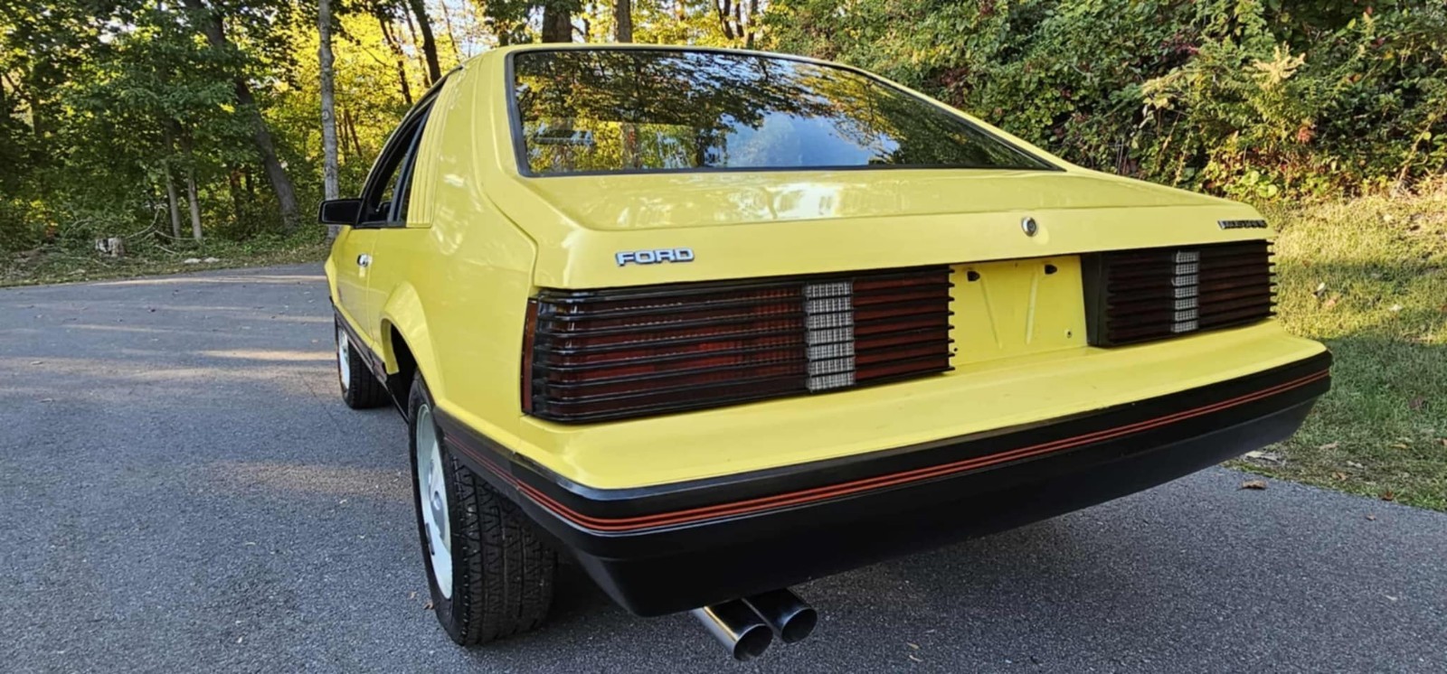 Ford-Mustang-1979-8