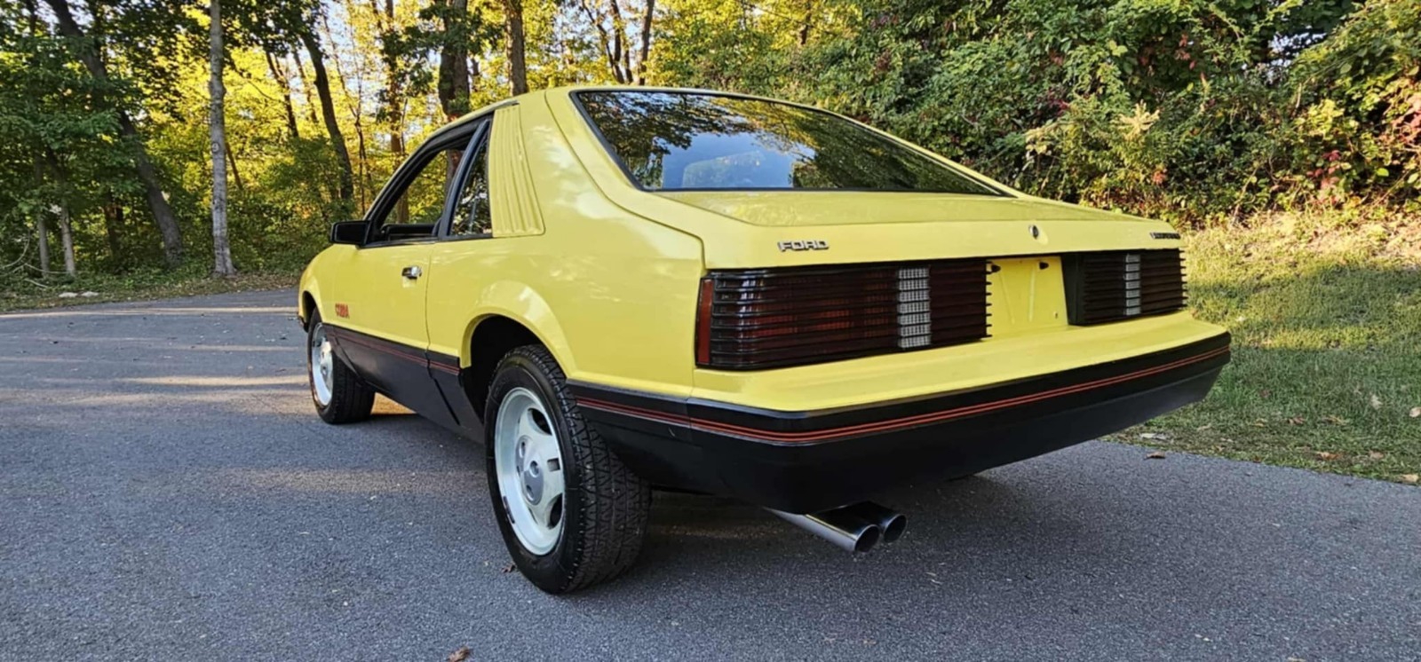 Ford-Mustang-1979-9