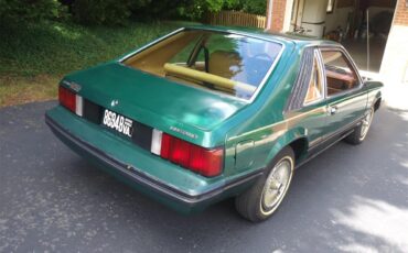 Ford-Mustang-1979-Green-cream-3