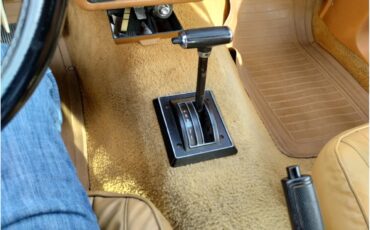 Ford-Mustang-1979-Green-cream-6