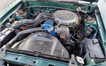 Ford-Mustang-1979-Green-cream-7