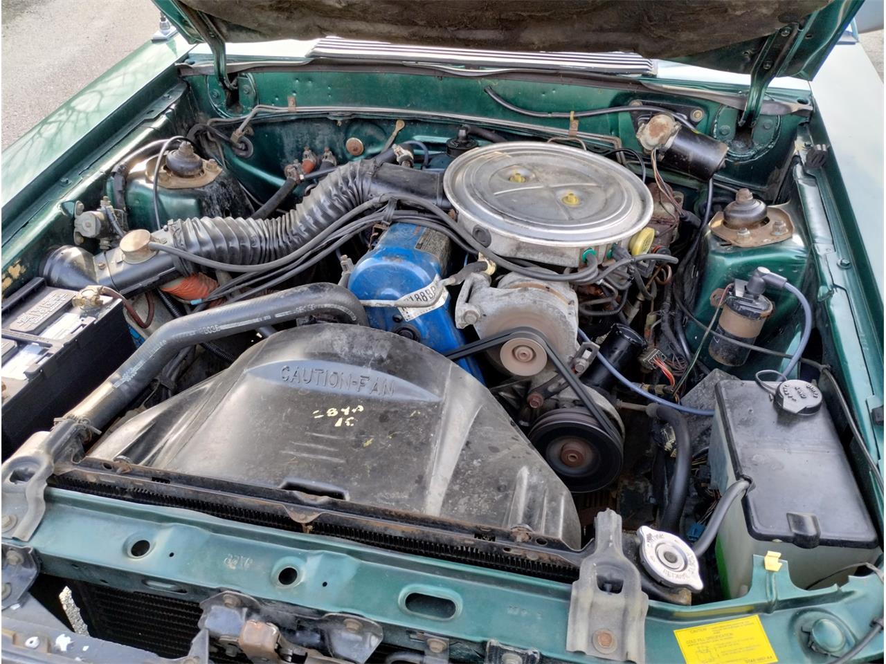 Ford-Mustang-1979-Green-cream-7