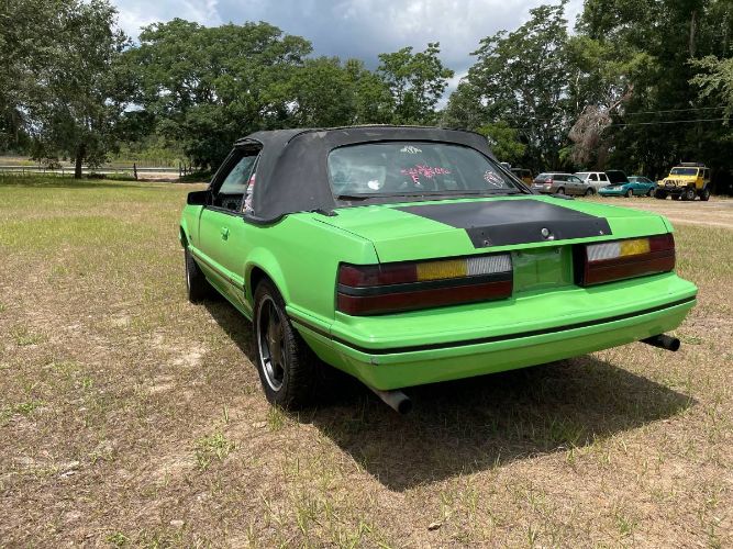 Ford-Mustang-1983-Green-9