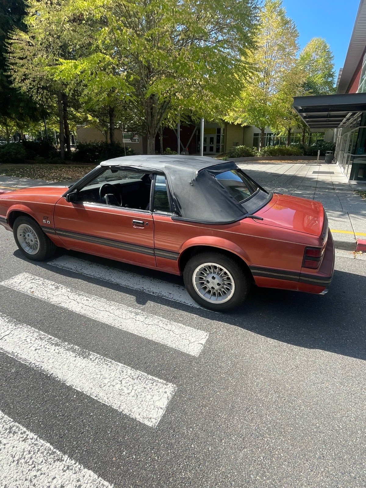 Ford-Mustang-1984-1