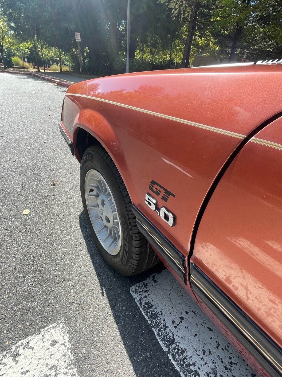 Ford-Mustang-1984-10