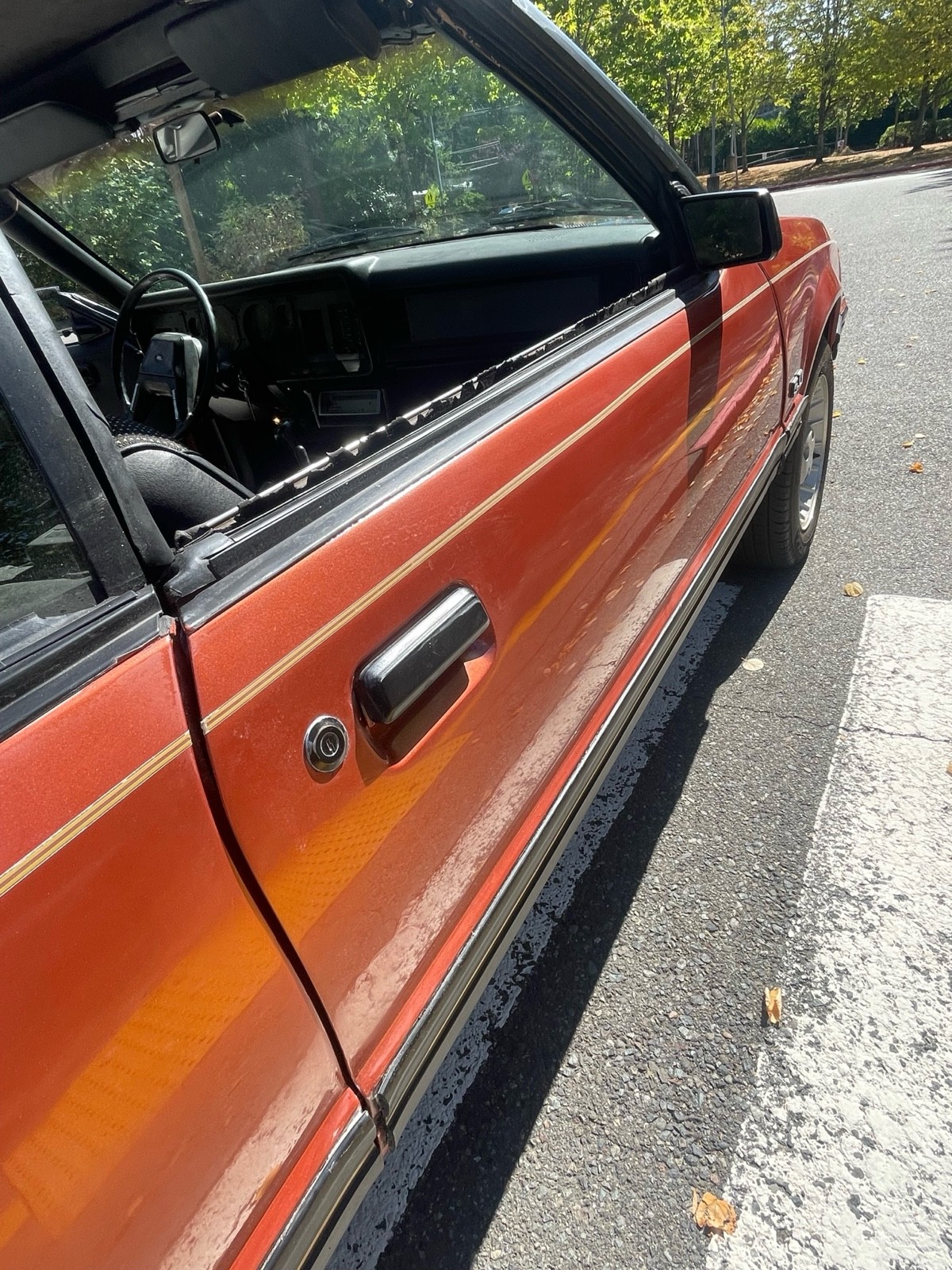 Ford-Mustang-1984-12