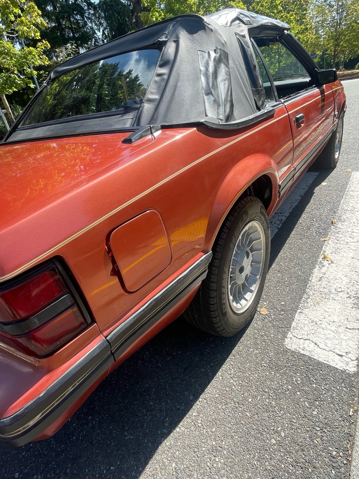 Ford-Mustang-1984-13
