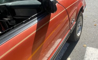 Ford-Mustang-1984-14