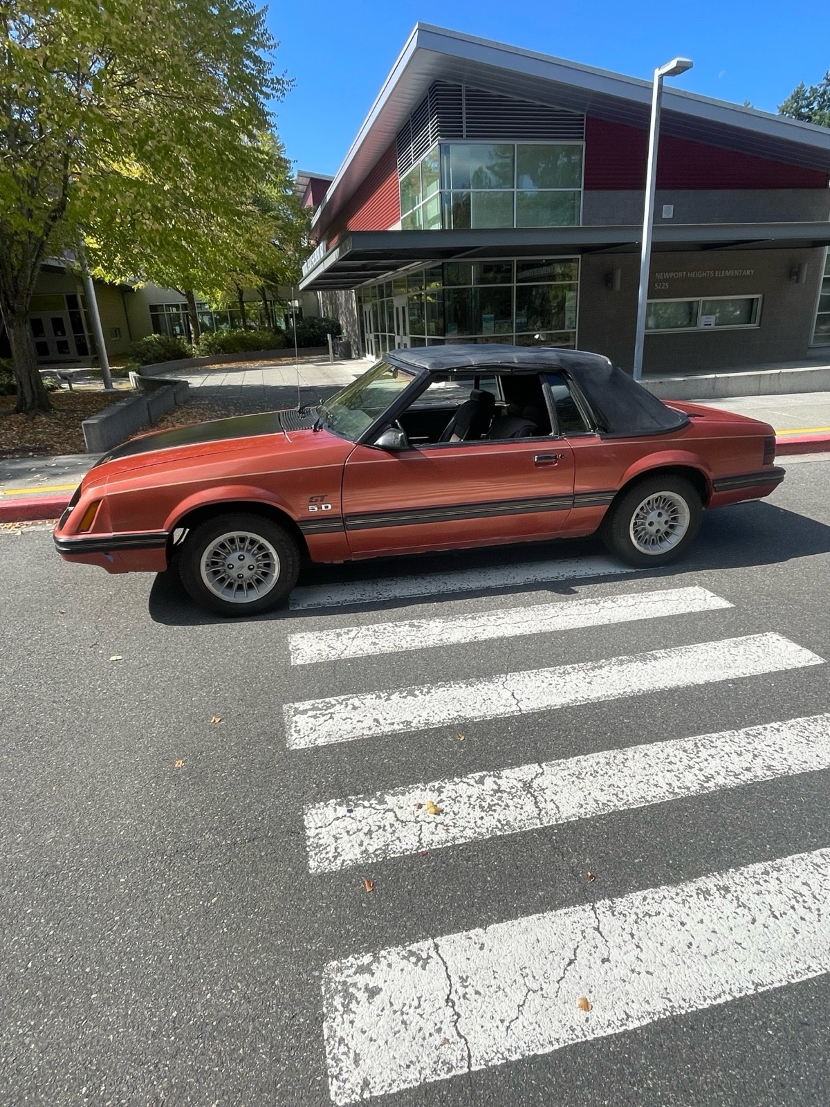 Ford-Mustang-1984-2