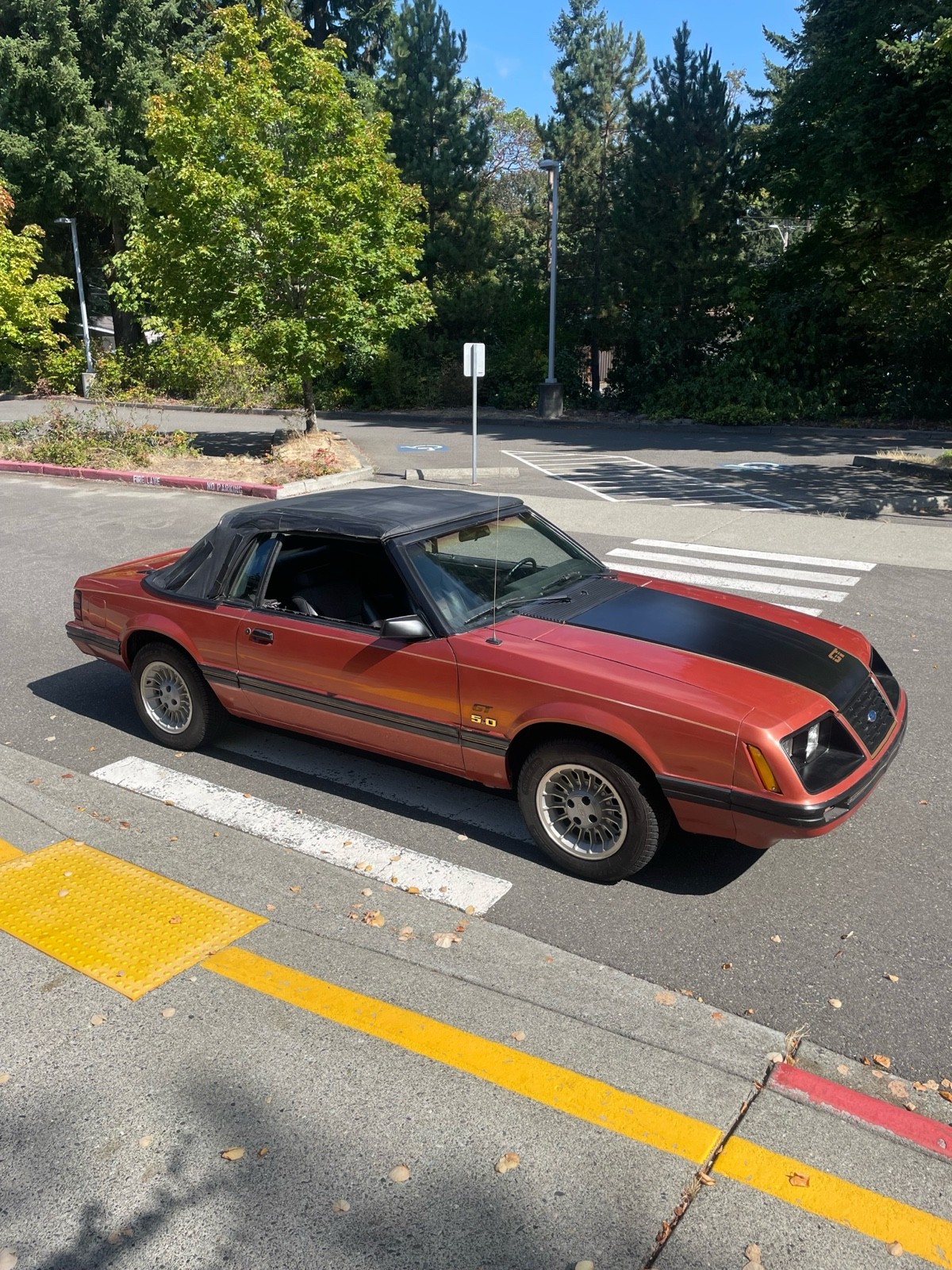 Ford-Mustang-1984-4