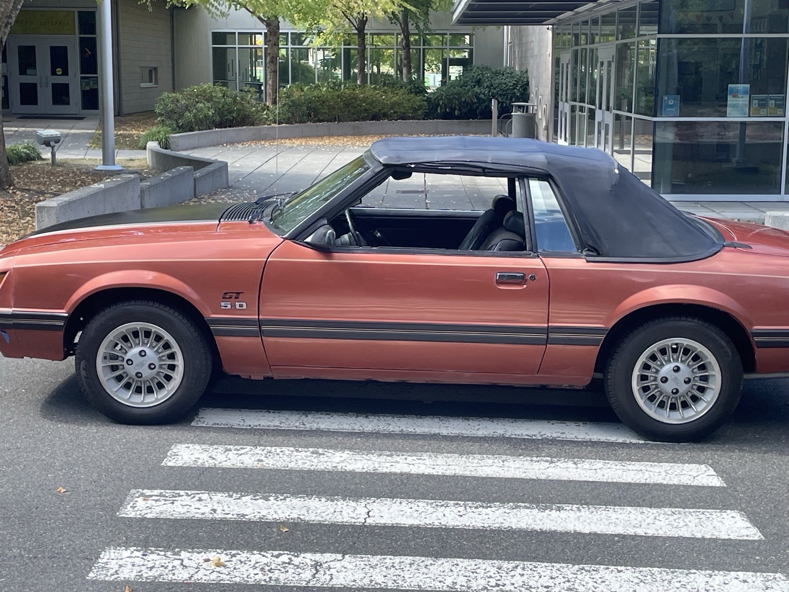 Ford-Mustang-1984-5