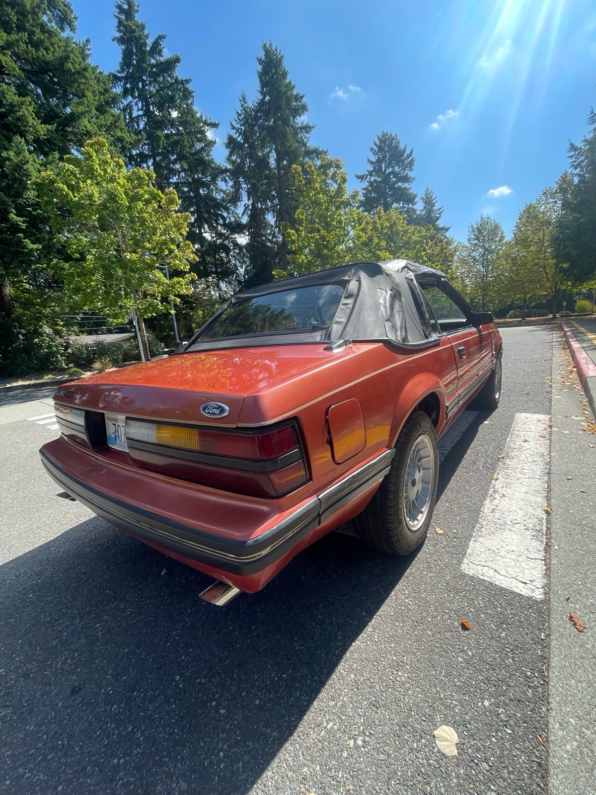 Ford-Mustang-1984-7