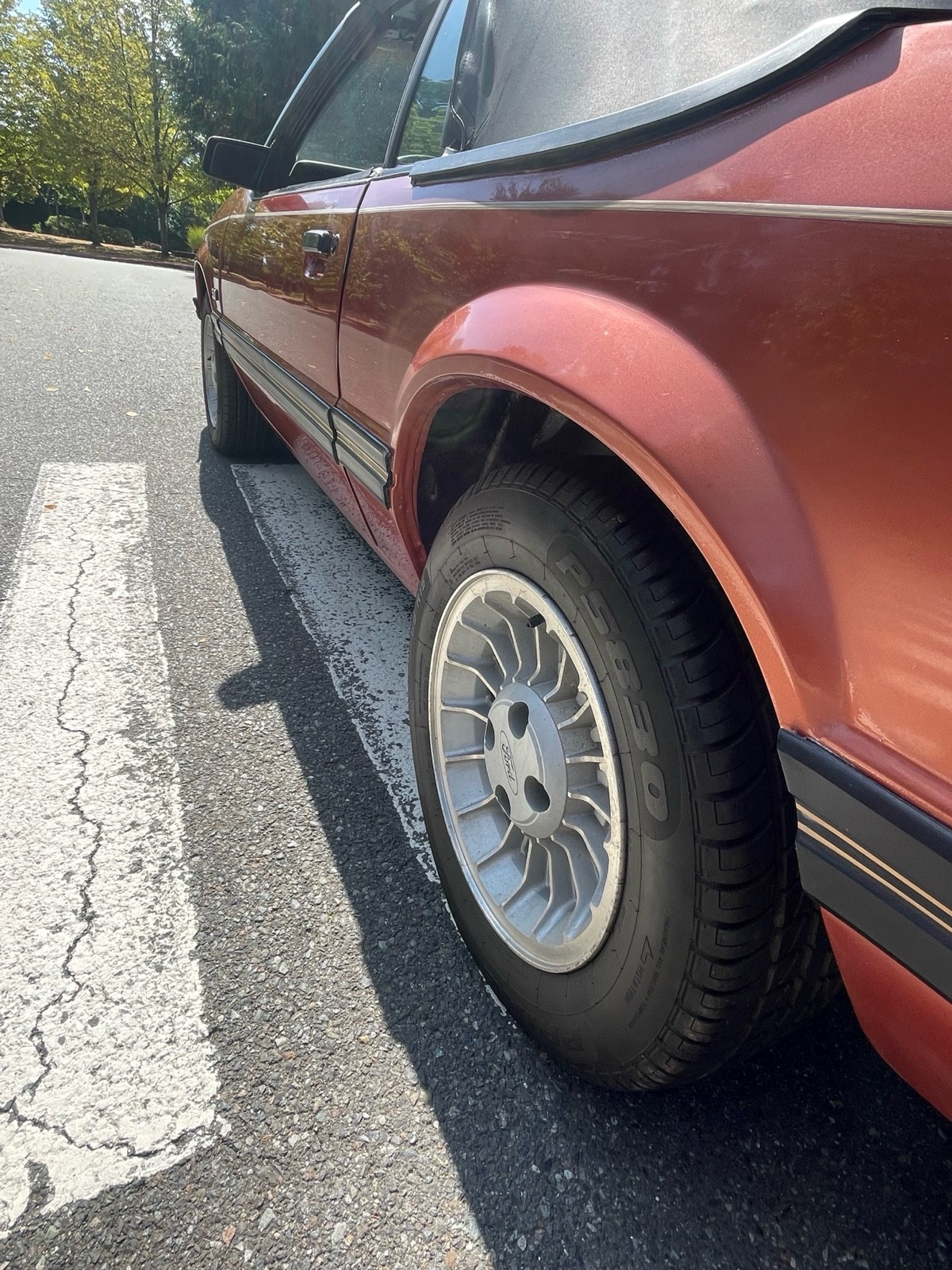 Ford-Mustang-1984-8