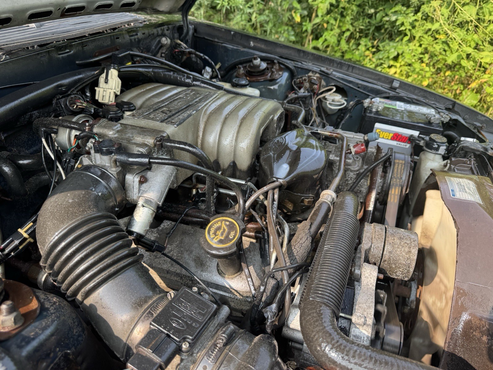 Ford-Mustang-1989-Hatchback-13