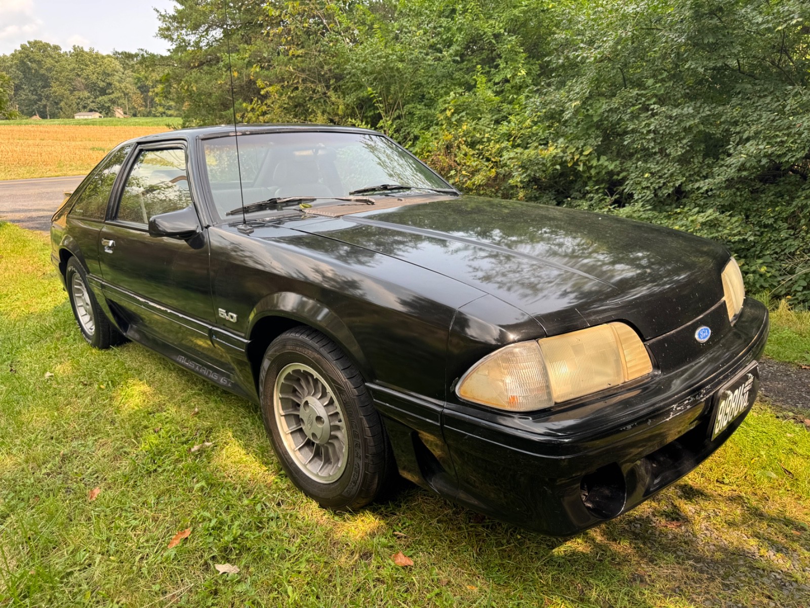 Ford-Mustang-1989-Hatchback-27