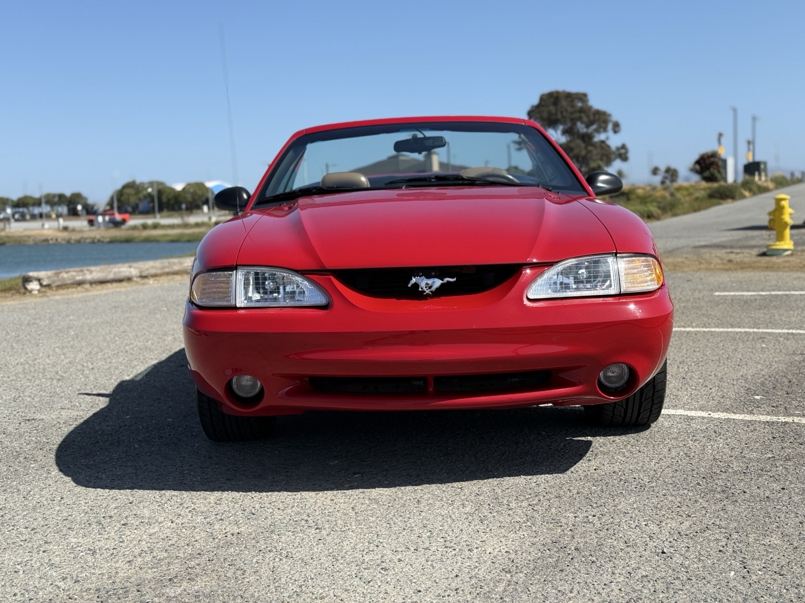 Ford-Mustang-1994-Convertible-30