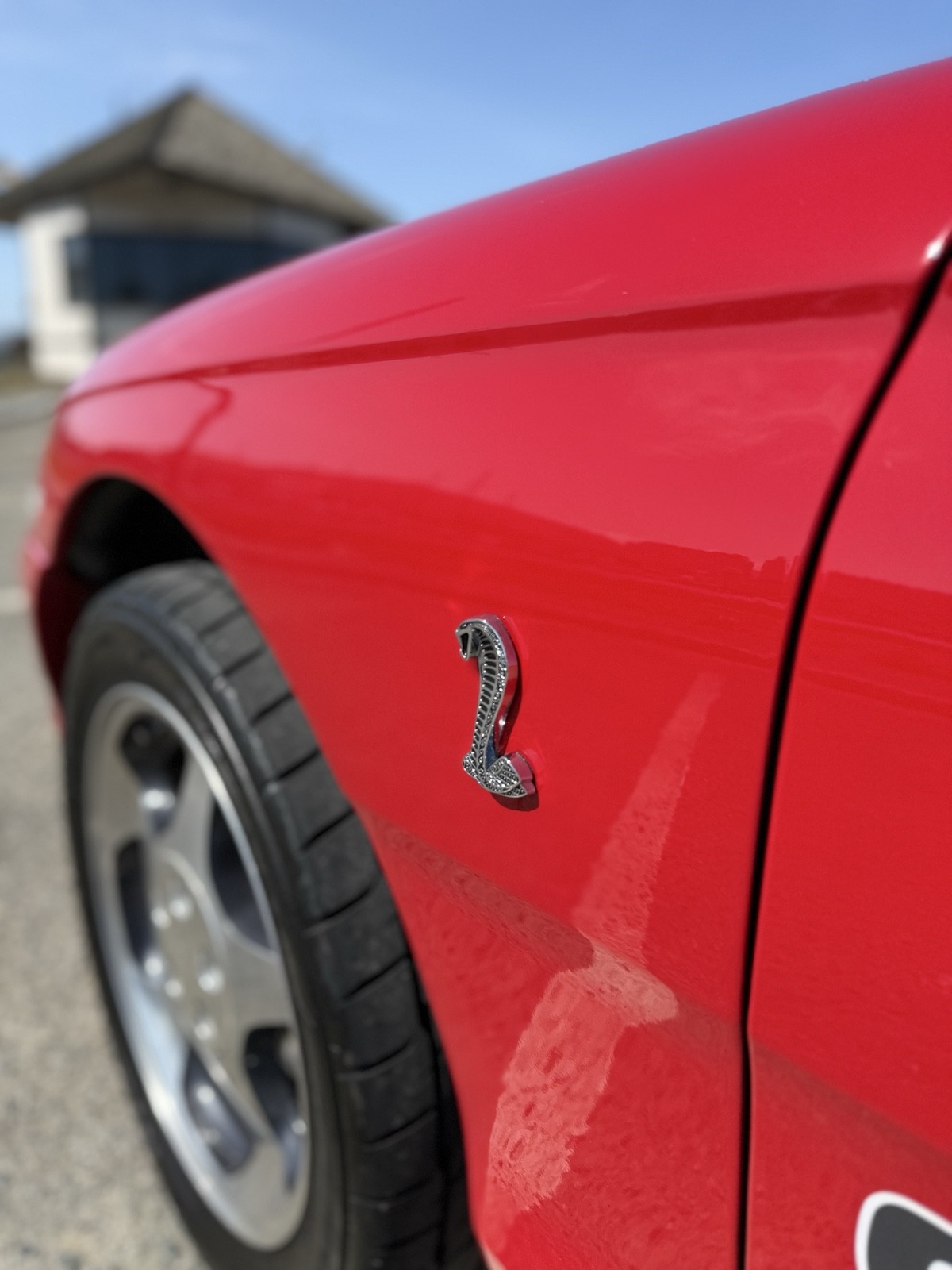 Ford-Mustang-1994-Convertible-8