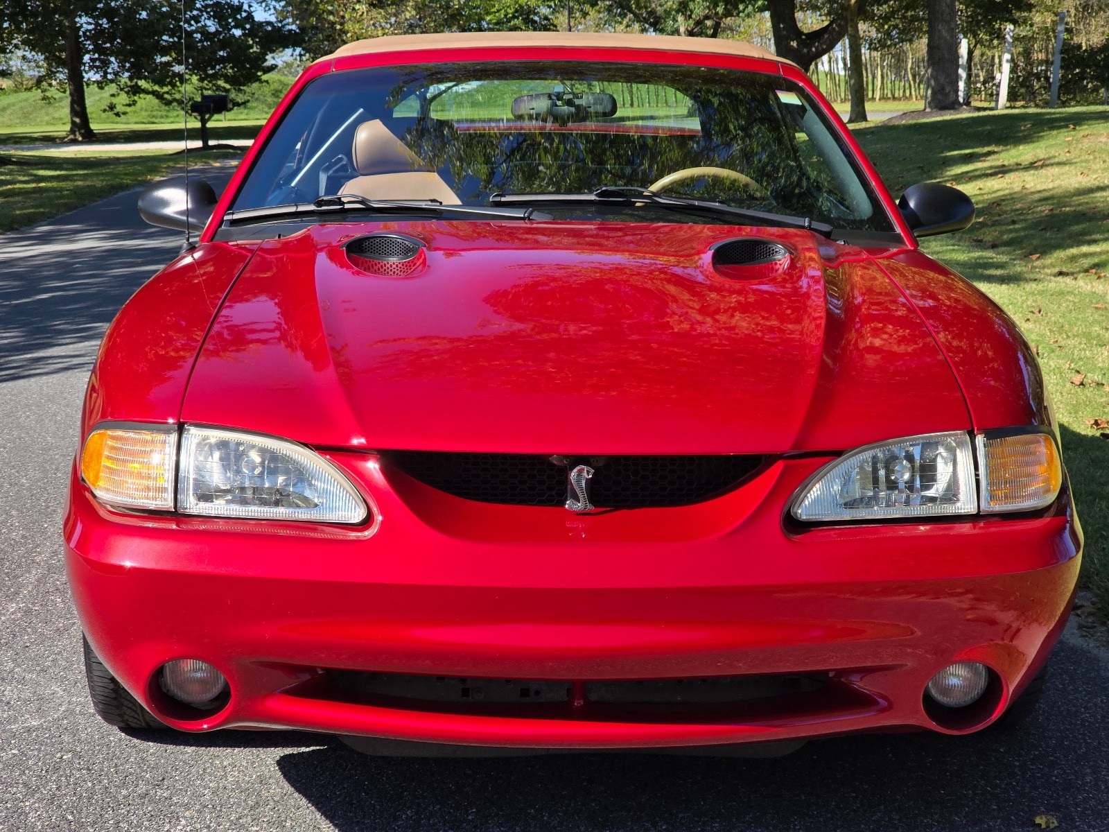 Ford-Mustang-1996-Convertible-28