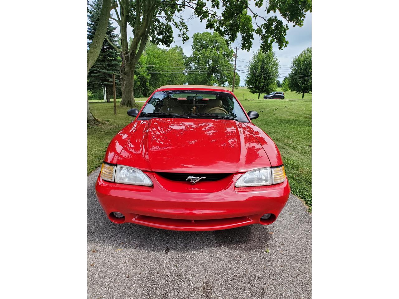 Ford-Mustang-cobra-1994-Rio-Red-Tan-leather-1