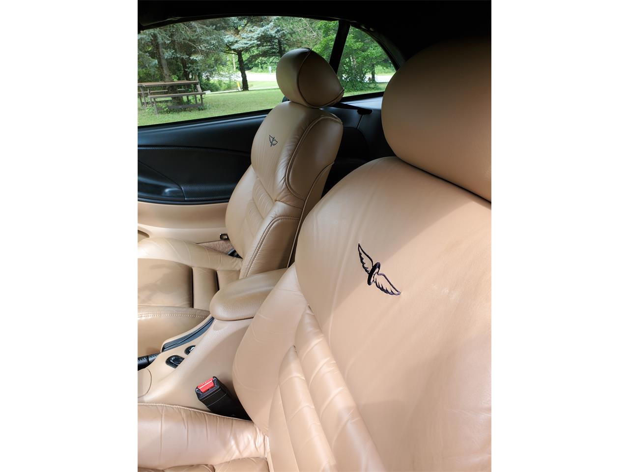 Ford-Mustang-cobra-1994-Rio-Red-Tan-leather-5