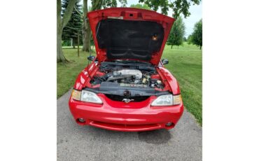 Ford-Mustang-cobra-1994-Rio-Red-Tan-leather-8